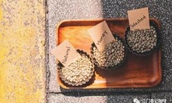 Coffee Knowledge | Understanding the flavor characteristics of different coffee processing methods