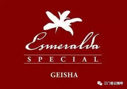 瑰夏Geisha