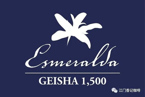 瑰夏Geisha